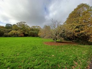 Lesquite Farm Lansallos